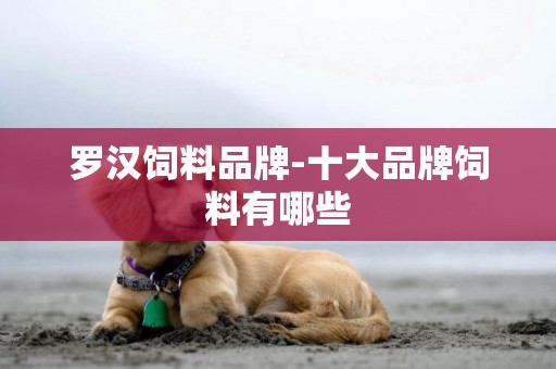 羅漢飼料品牌-十大品牌飼料有哪些