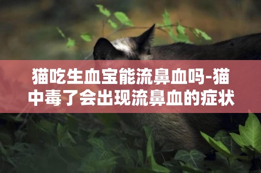 貓吃生血寶能流鼻血嗎-貓中毒了會出現流鼻血的癥狀嗎？