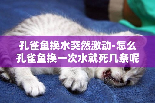 孔雀魚換水突然激動-怎么孔雀魚換一次水就死幾條呢？