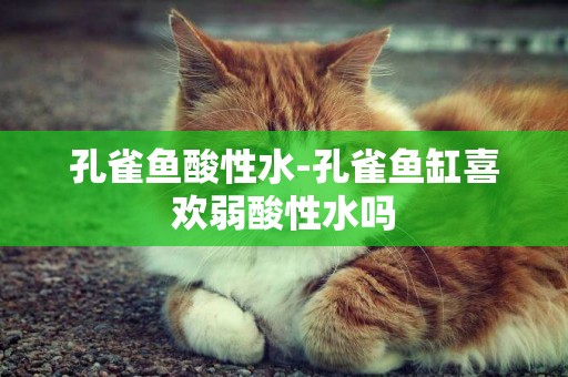 孔雀魚酸性水-孔雀魚缸喜歡弱酸性水嗎