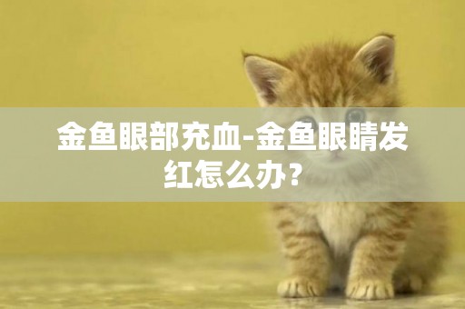 金魚眼部充血-金魚眼睛發紅怎么辦？