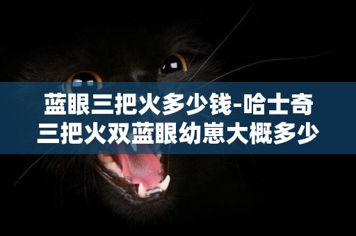 藍眼三把火多少錢-哈士奇三把火雙藍眼幼崽大概多少錢