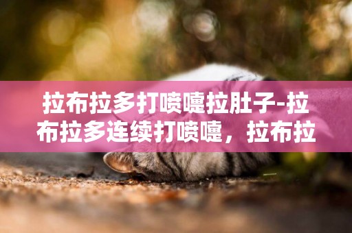 拉布拉多打噴嚏拉肚子-拉布拉多連續打噴嚏，拉布拉多一直打噴嚏