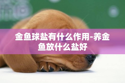 金魚球鹽有什么作用-養金魚放什么鹽好