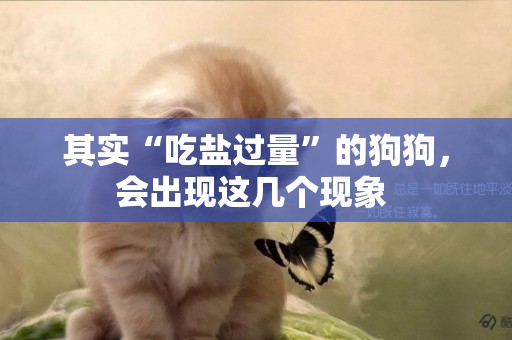 其實“吃鹽過量”的狗狗，會出現這幾個現象 