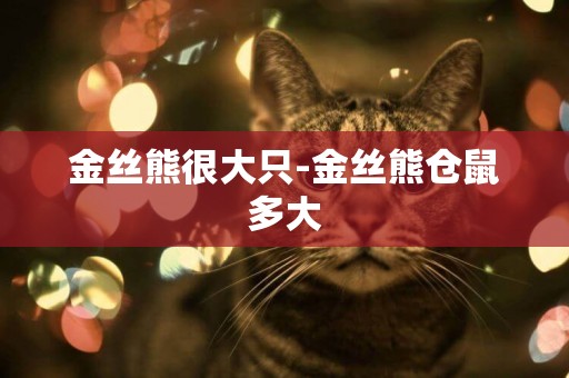 金絲熊很大只-金絲熊倉鼠多大
