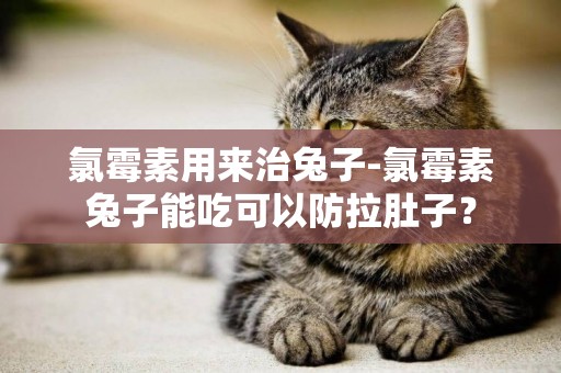 氯霉素用來治兔子-氯霉素兔子能吃可以防拉肚子？