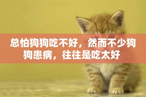 總怕狗狗吃不好，然而不少狗狗患病，往往是吃太好 