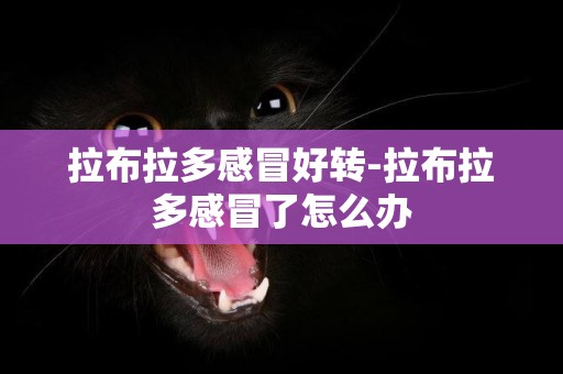 拉布拉多感冒好轉-拉布拉多感冒了怎么辦