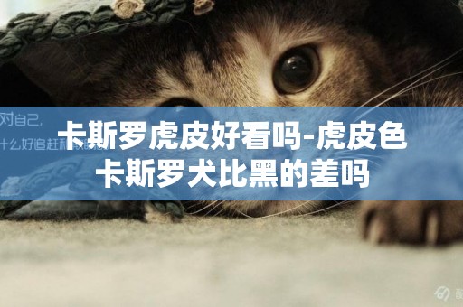 卡斯羅虎皮好看嗎-虎皮色卡斯羅犬比黑的差嗎