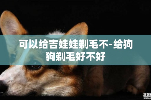 可以給吉娃娃剃毛不-給狗狗剃毛好不好