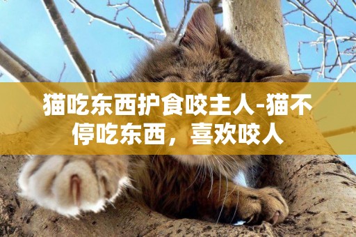貓吃東西護食咬主人-貓不停吃東西，喜歡咬人