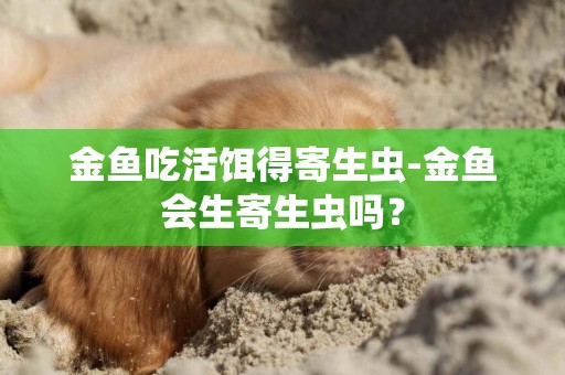 金魚吃活餌得寄生蟲-金魚會生寄生蟲嗎？