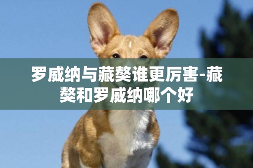 羅威納與藏獒誰更厲害-藏獒和羅威納哪個好