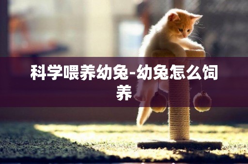 科學喂養幼兔-幼兔怎么飼養