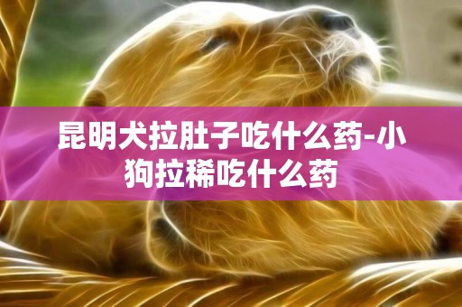昆明犬拉肚子吃什么藥-小狗拉稀吃什么藥