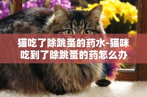 貓吃了除跳蚤的藥水-貓咪吃到了除跳蚤的藥怎么辦