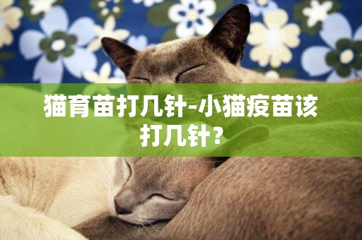 貓育苗打幾針-小貓疫苗該打幾針？