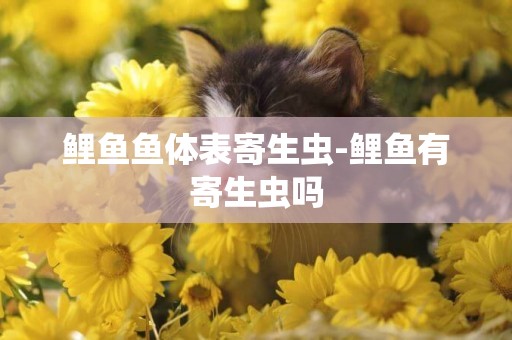 鯉魚魚體表寄生蟲-鯉魚有寄生蟲嗎