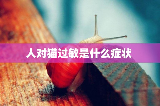 人對貓過敏是什么癥狀 