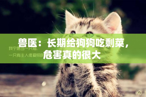 獸醫：長期給狗狗吃剩菜，危害真的很大 