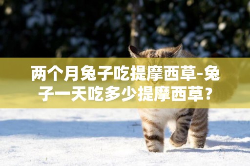 兩個月兔子吃提摩西草-兔子一天吃多少提摩西草？