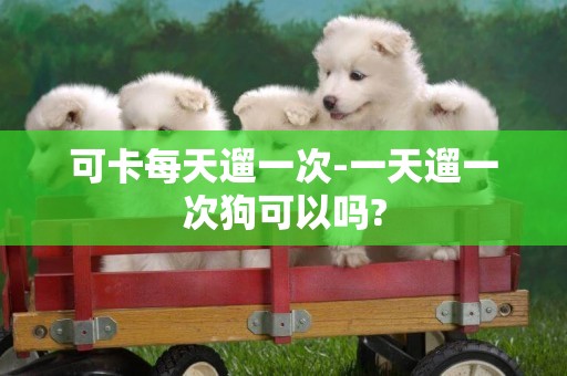 可卡每天遛一次-一天遛一次狗可以嗎?