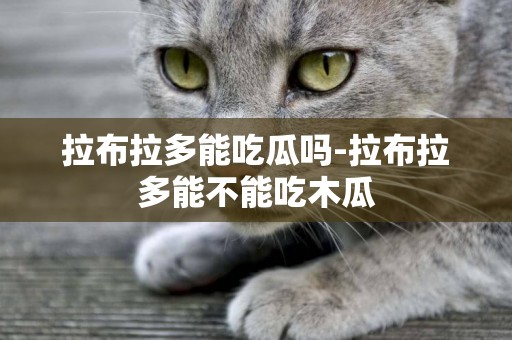 拉布拉多能吃瓜嗎-拉布拉多能不能吃木瓜