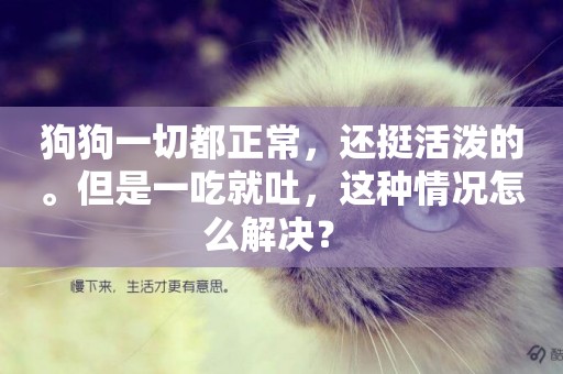 狗狗一切都正常，還挺活潑的。但是一吃就吐，這種情況怎么解決？ 