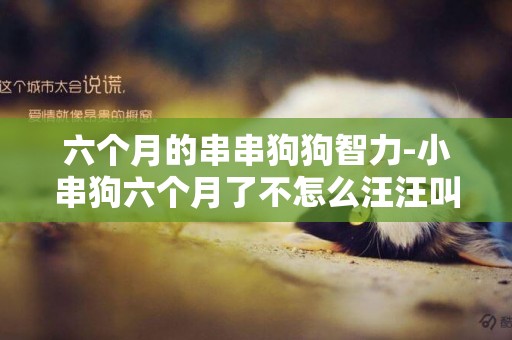 六個月的串串狗狗智力-小串狗六個月了不怎么汪汪叫？