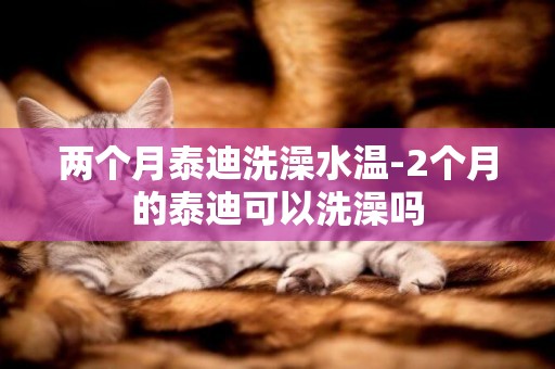兩個月泰迪洗澡水溫-2個月的泰迪可以洗澡嗎