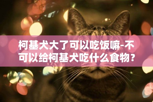 柯基犬大了可以吃飯嘛-不可以給柯基犬吃什么食物？