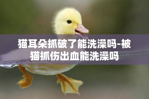 貓耳朵抓破了能洗澡嗎-被貓抓傷出血能洗澡嗎