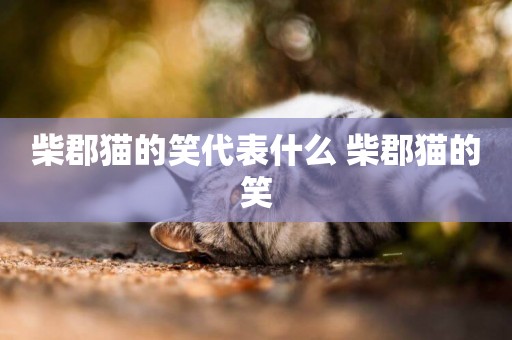 柴郡貓的笑代表什么 柴郡貓的笑