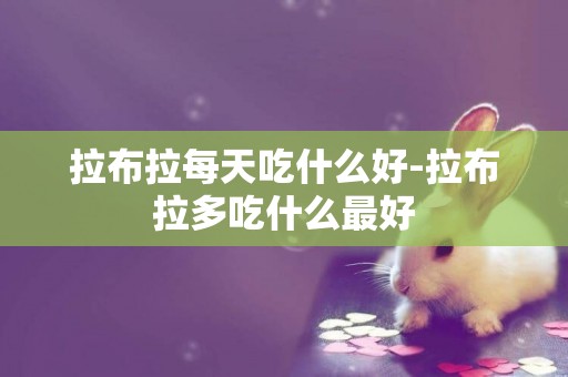 拉布拉每天吃什么好-拉布拉多吃什么最好