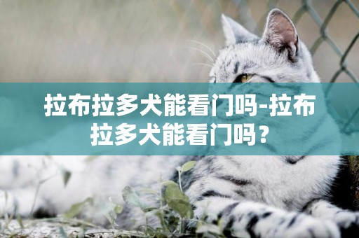 拉布拉多犬能看門嗎-拉布拉多犬能看門嗎？