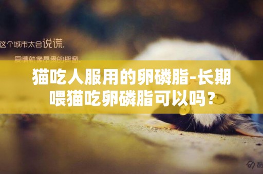 貓吃人服用的卵磷脂-長期喂貓吃卵磷脂可以嗎？