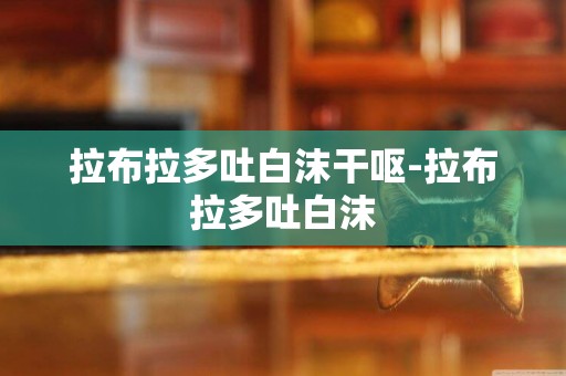 拉布拉多吐白沫干嘔-拉布拉多吐白沫