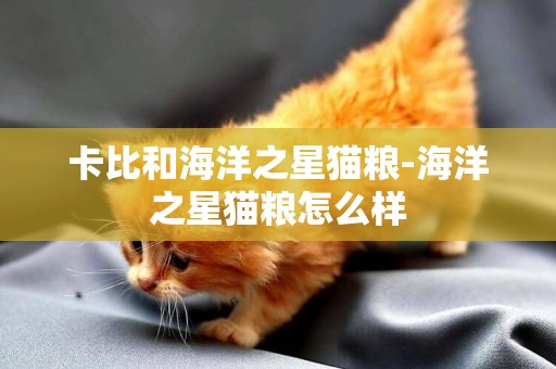 卡比和海洋之星貓糧-海洋之星貓糧怎么樣
