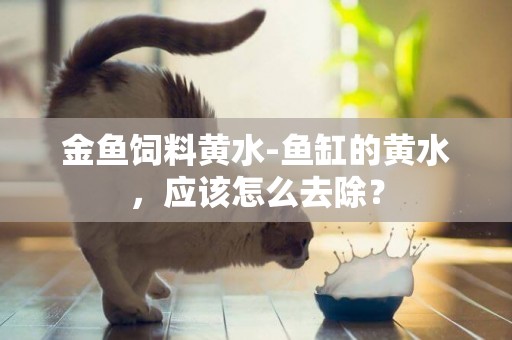 金魚飼料黃水-魚缸的黃水，應該怎么去除？
