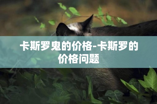 卡斯羅鬼的價格-卡斯羅的價格問題