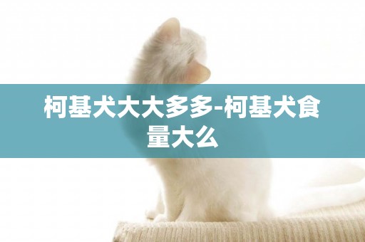 柯基犬大大多多-柯基犬食量大么
