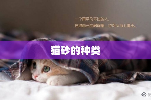 貓砂的種類