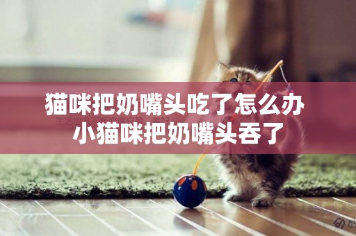 貓咪把奶嘴頭吃了怎么辦 小貓咪把奶嘴頭吞了