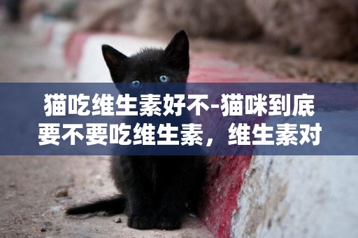 貓吃維生素好不-貓咪到底要不要吃維生素，維生素對貓咪的重要影