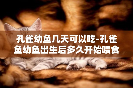 孔雀幼魚幾天可以吃-孔雀魚幼魚出生后多久開始喂食？