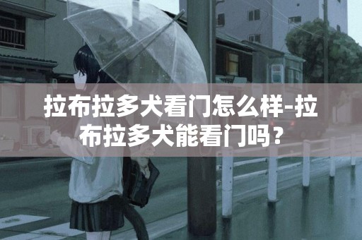 拉布拉多犬看門怎么樣-拉布拉多犬能看門嗎？