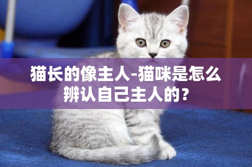 貓長的像主人-貓咪是怎么辨認自己主人的？