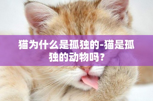 貓為什么是孤獨的-貓是孤獨的動物嗎？