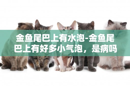 金魚尾巴上有水泡-金魚尾巴上有好多小氣泡，是病嗎？